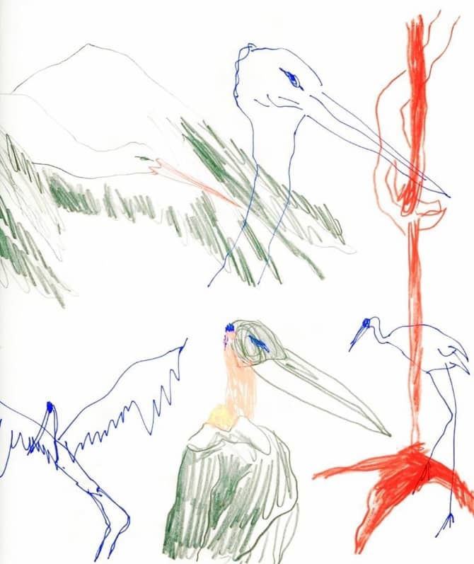 2. Jasmina Al-Qaisi – A stork Story – Radio docu-fiction, Drawing by Covrig
